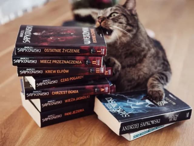 Pełna saga o Wiedźminie: 9 książek w kolejności chronologicznej Pełna saga o Wiedźminie: 9 książek w kolejności chronologicznej