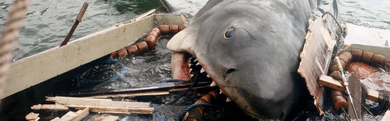 Najlepsze filmy o rekinach: przerażające thrillery na morzu Najlepsze filmy o rekinach: przerażające thrillery na morzu