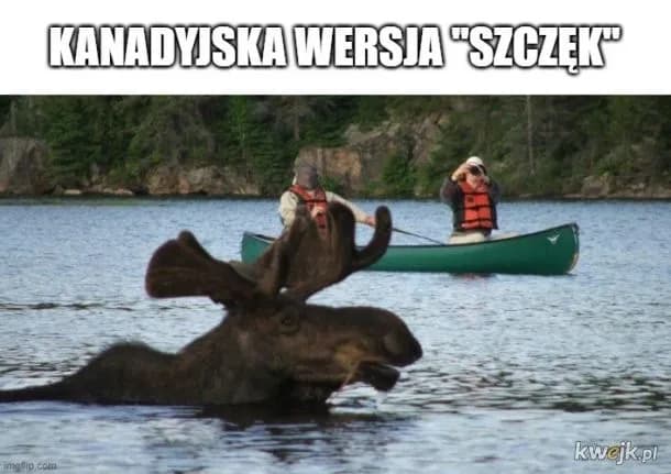 Pustka: Kanadyjski horror, który przeraża i fascynuje widzów Pustka: Kanadyjski horror, który przeraża i fascynuje widzów