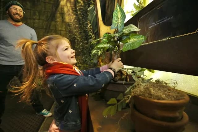 Atrakcje dla dzieci Podlaskie: miasteczko Harry Pottera i inne atrakcje w Podlasiu Atrakcje dla dzieci Podlaskie: miasteczko Harry Pottera i inne atrakcje w Podlasiu